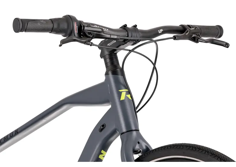 Rower miejski RAYMON UrbanRay 1.0 Gent - obrazek 8